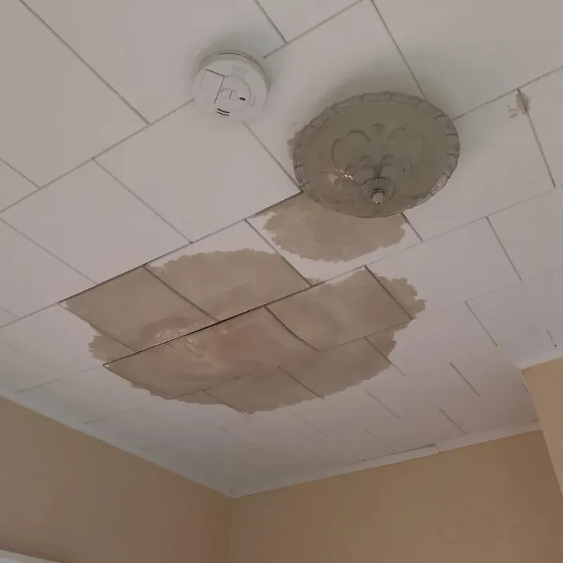 Ceiling Water Damage Repair in Noble, OK