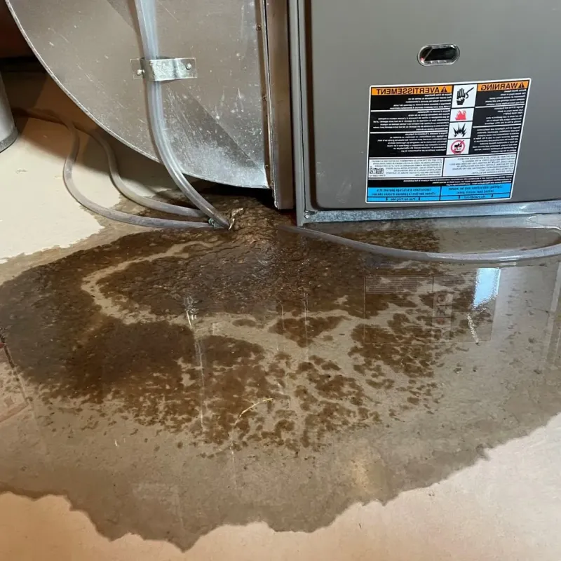 Pipe Burst and Leak Restoration in Noble, OK