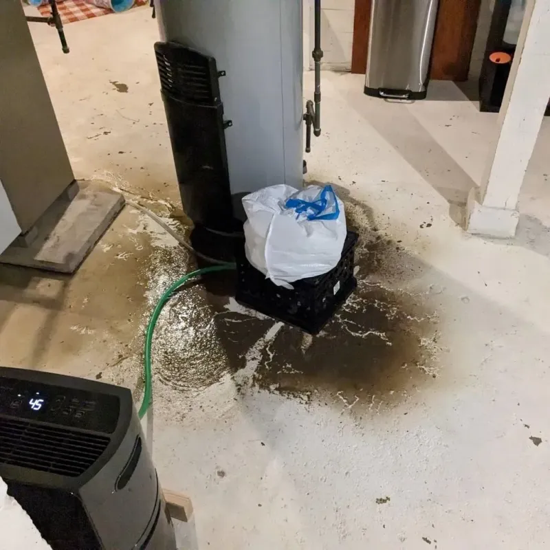 Sewage Backup Cleanup Service in Noble, OK